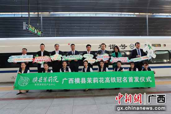 横县茉莉花财富迈向“高速”成长新时代