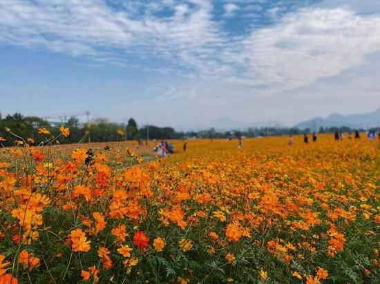 重现千年汗青湖景 杭州富阳阳陂湖一期对外开放