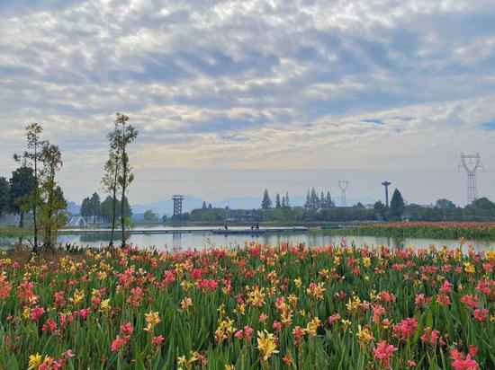 重现千年汗青湖景 杭州富阳阳陂湖一期对外开放