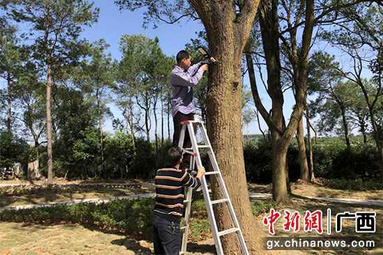 深圳爱心企业向桂林乡镇赠灯 善举点亮村子