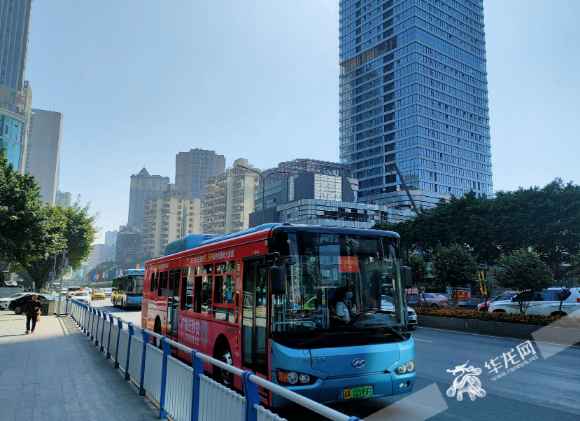 且晒且珍惜 明起雨水回归山城