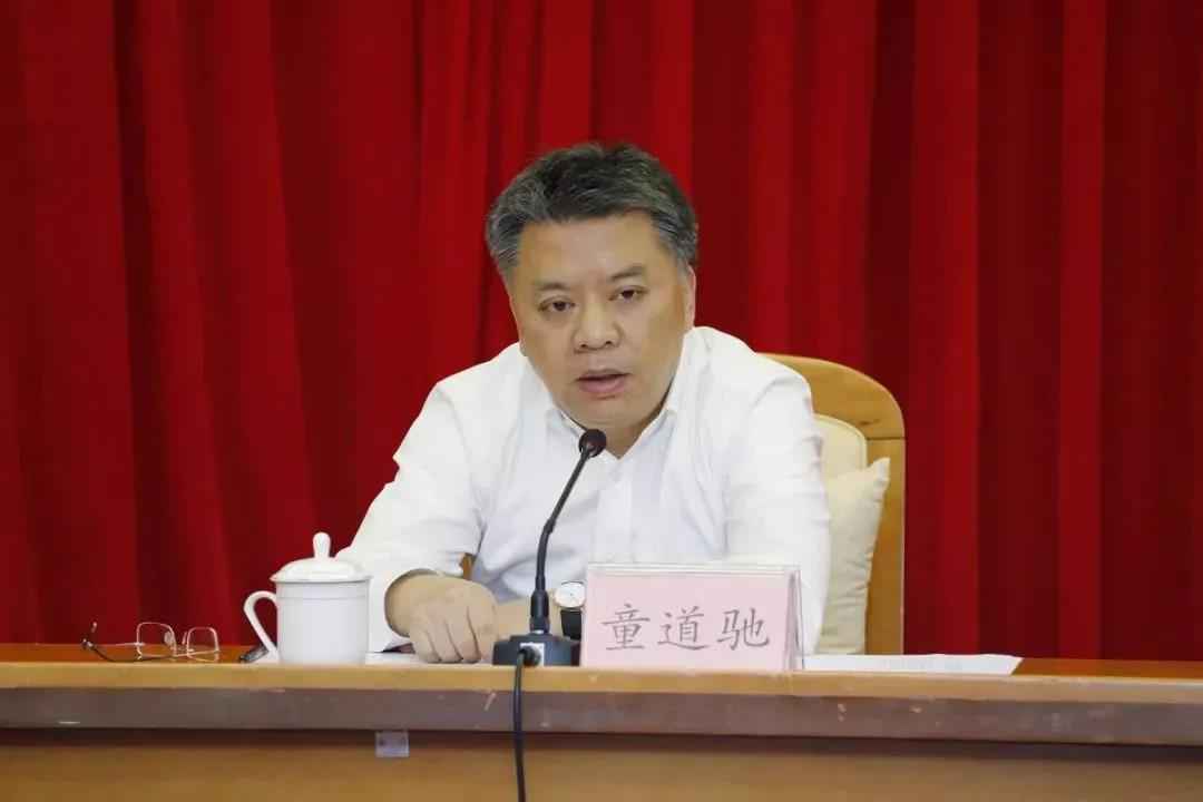 海南省委常委、三亚市委书记童道驰接管审查观测