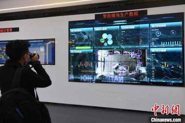 探访中国首个国度级生猪大数据中心 智能化应用为生猪养殖提供便利