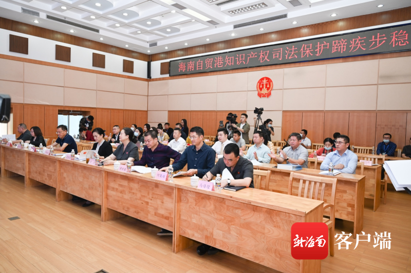 海口常识产权法庭一年受理案件1720件 涉外案件增加