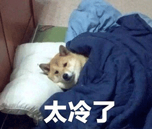 吉林大降温来了！冷氛围已发货！快看看