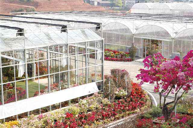 区县文旅佳构荟|原乡风情大美铜梁