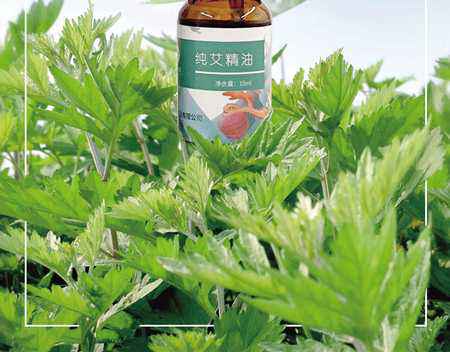 区县文旅佳构荟|原乡风情大美铜梁