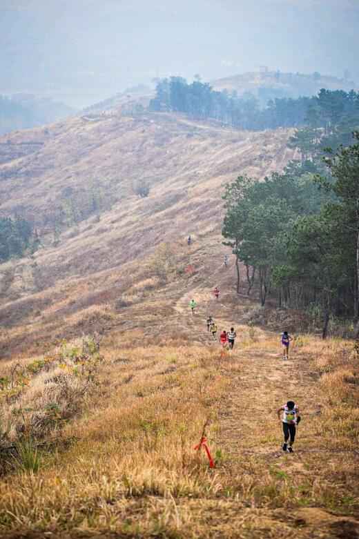 问津故地掀健身高潮 | 2019中国山地马拉松系列赛—武汉新洲站圆满落幕