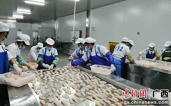 图为工人在园区内出产车间事情。 广西靖西互市商业收支口额大幅增长