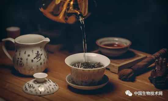 日本新研究：多喝绿茶和咖啡，可显著低落糖尿病患者灭亡风险