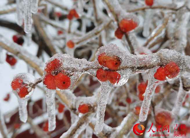 吉林省：努力应对冰冻雨雪天气！【组图】