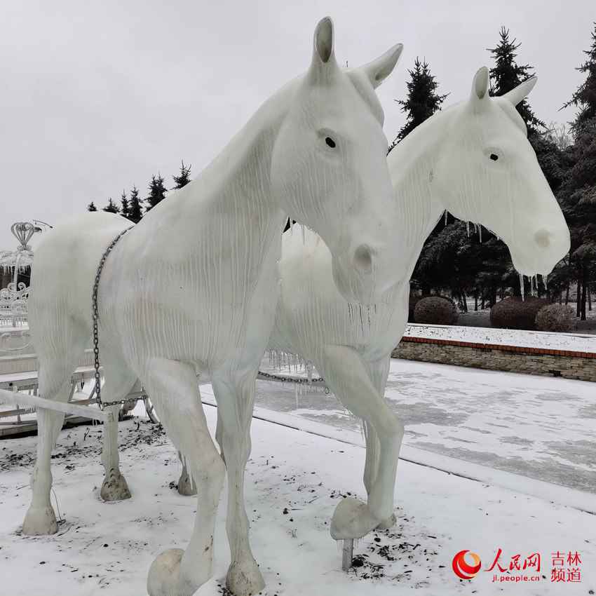 吉林省：努力应对冰冻雨雪天气！【组图】
