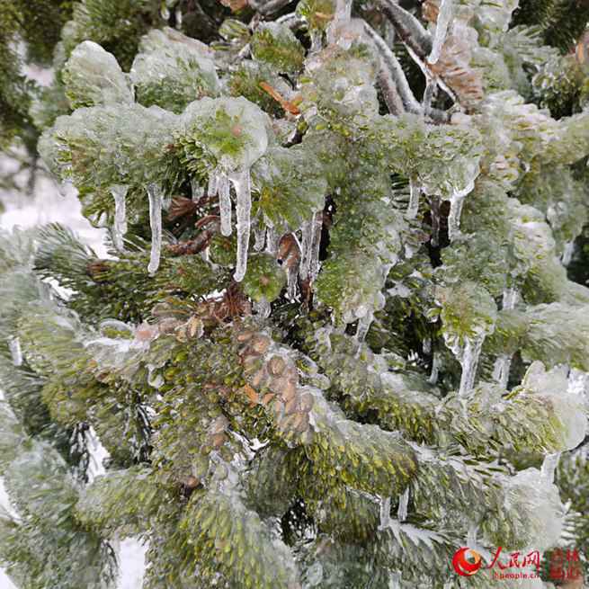 吉林省：努力应对冰冻雨雪天气！【组图】