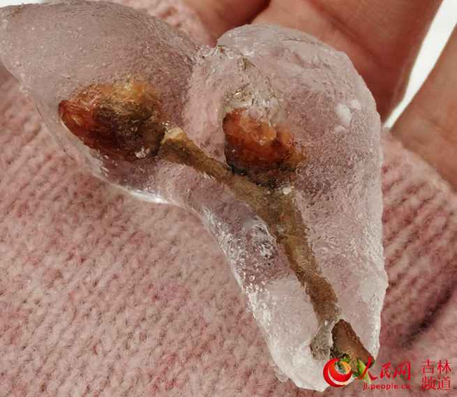 吉林省：努力应对冰冻雨雪天气！【组图】