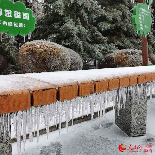 吉林省：努力应对冰冻雨雪天气！【组图】