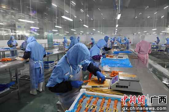 图为工人在保诚食品有限公司全关闭出产车间内繁忙着。 广西靖西扶贫财富园引进强优企业壮大县域经济