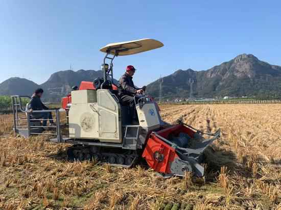 浙江乐清探寻生态农业新路子 助创洁净瑰丽田园