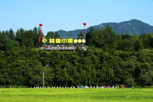 飞跃在但愿的郊野上：建德农创客躬耕村子振兴创新路