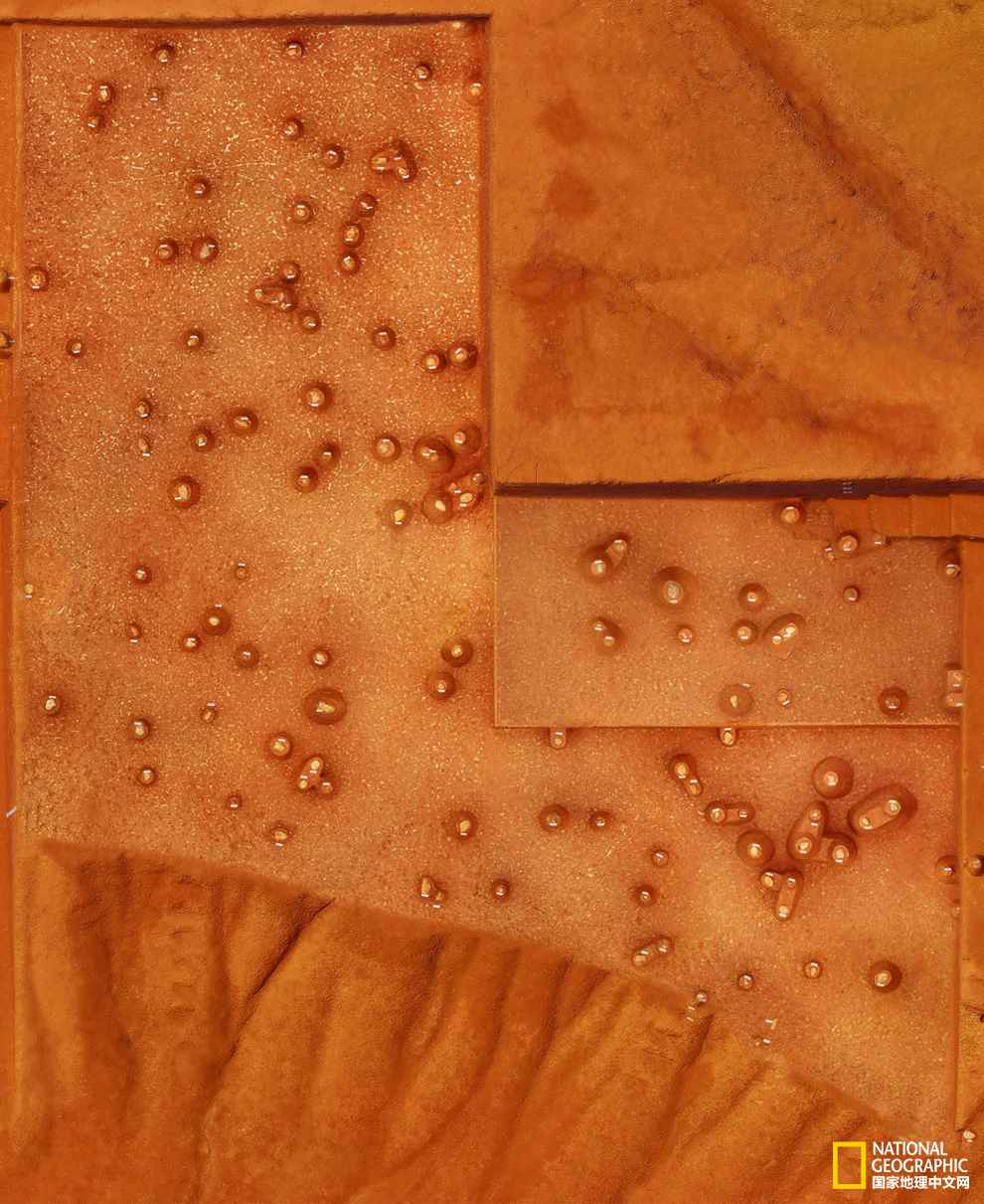 重磅新闻：2014年度全国十大考古新发明