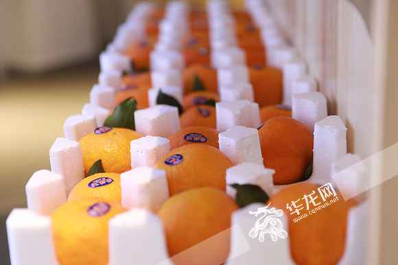 视频|快来买买买！中国西部消费扶贫中心本周六北滨路开馆