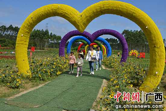 图为木马村浪漫花海基地。吕建伟 摄 桂林灵川县浪漫花海助村民脱贫增收