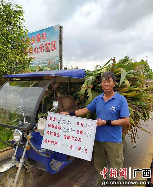 图为收购农户玉米杆。向国华 程宇瞰 摄影报道 科技创新助力广西武宣县农夫念活“致富经”