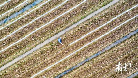 南边拍客看广东｜一周精选 接待回家