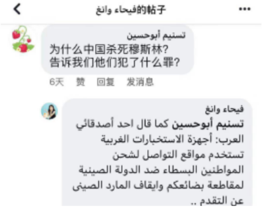 会说阿语的中国女孩社交平台揭批涉疆谣言成“网红” 阿拉伯网民“黑转粉”纷纷点赞