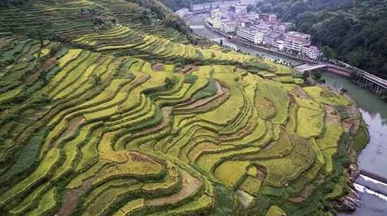 多措并举 浙江文成打造瑰丽田园风物样本