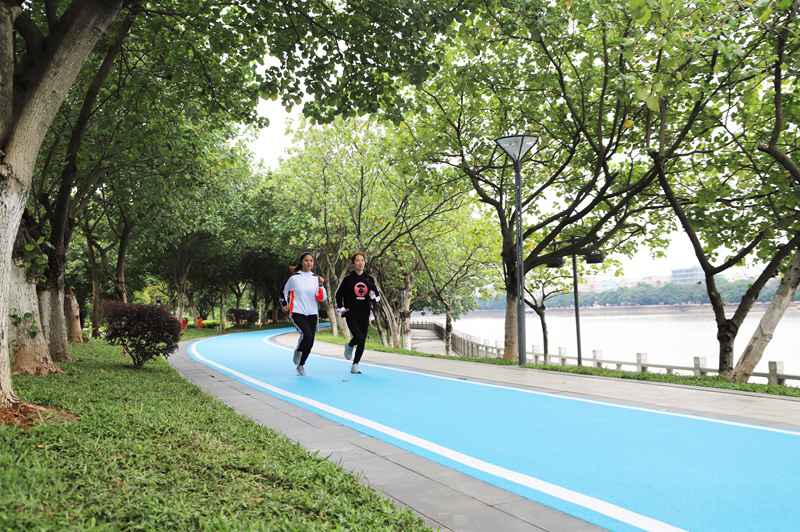 广州黄埔区高尺度率先完成生物岛碧道示范段建树