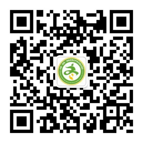 2020年海南冬交会本周六进行 逛会指南大全在这里 快布置起来！