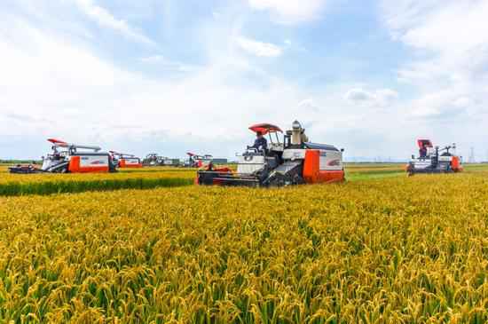 浙江台州开展“三联三送三落实”专项动作保春耕