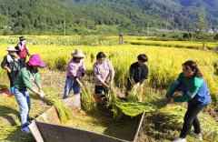 浩大春风鼓春潮 广袤沃野绘新篇 ——全面推进村