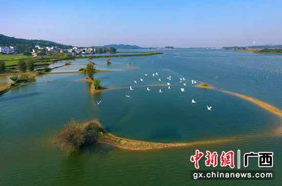 横县青年水库风物 零慧兰 摄 横县全面落实河长制 青山碧水入画来