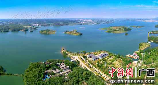 西津国度湿地公园风物 零慧兰 摄 横县全面落实河长制 青山碧水入画来