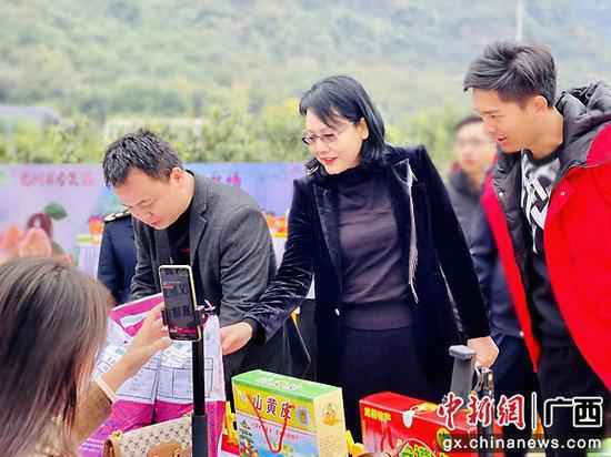 龙州县网红直播助力农产物上行 成交额16万元