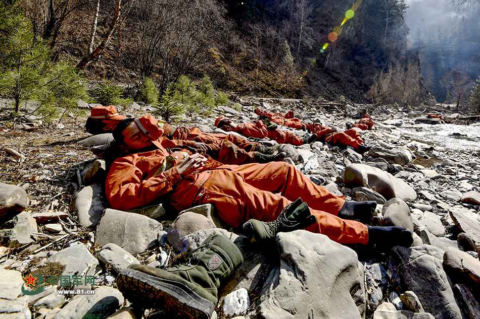 嘘……别措辞！让这些丛林卫士再多睡会儿