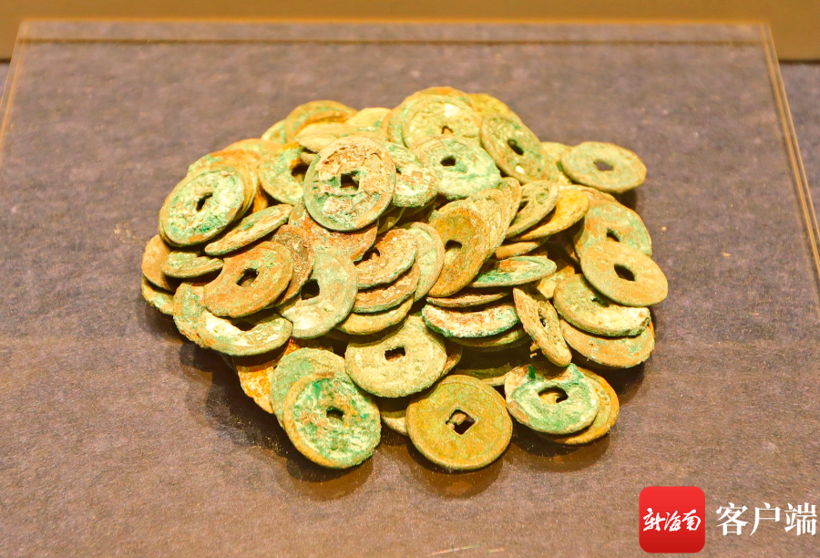 乐东一农夫挖树坑捡到西汉官印！来听听海南考古的故事