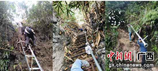 由于地质特点,广西区内的电普建树项目建树难度大,图中移动事恋人员在近90度的陡峭山崖上攀爬,搬运杆塔等建树物资。 广西移动 供图 广西移动提前10个月完成2020年电信普遍处事项目