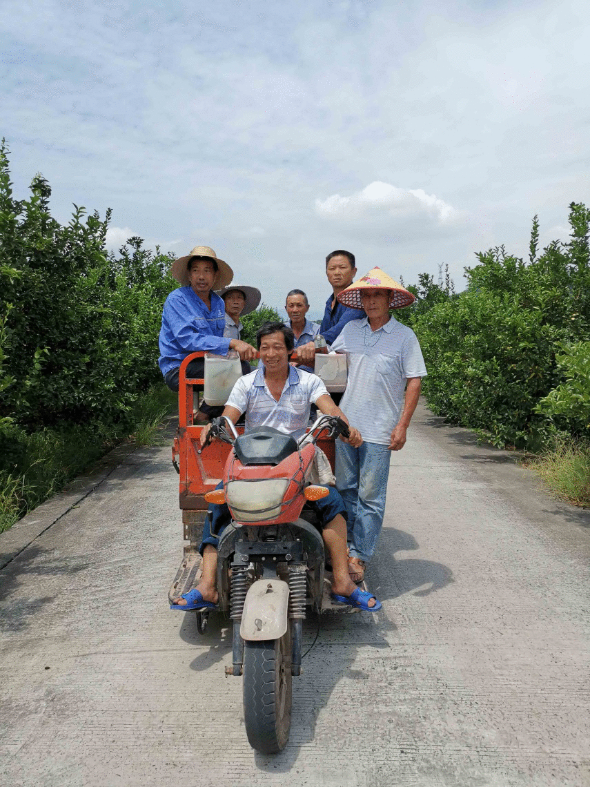 建行重庆市分行携手金夫人集体 举办“村落振兴 幸福家庭”全家福公益照运动