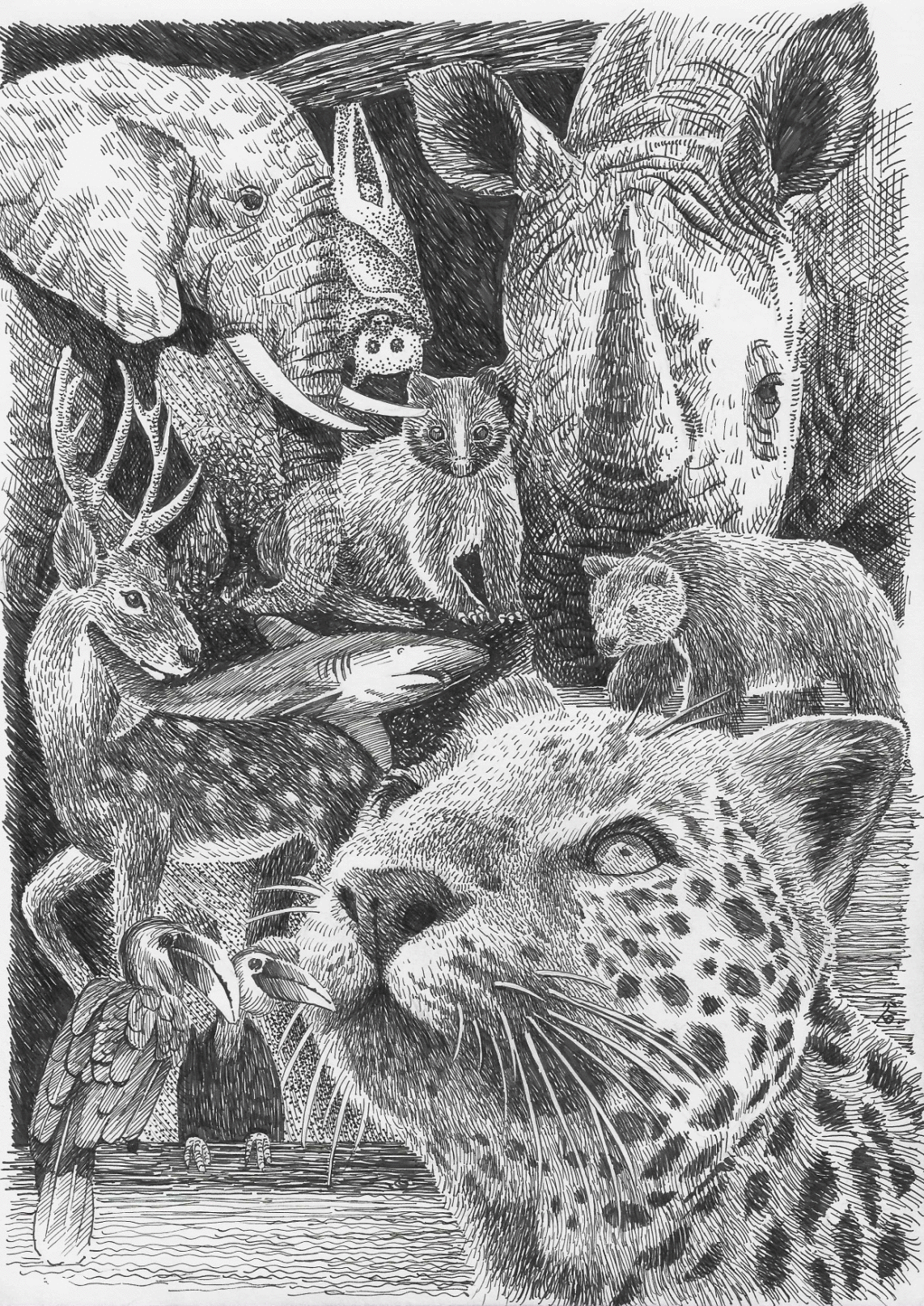 「青联模范说」第41期 谷润丰：池州95后画家用笔画出本身的芳华