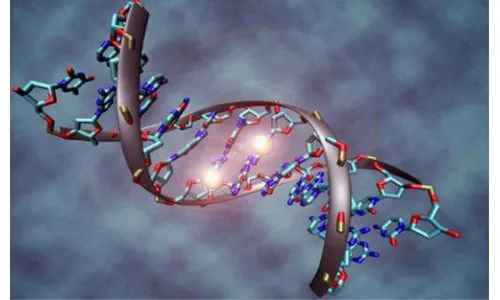 中国疾控中心提出防癌抗癌十条发起