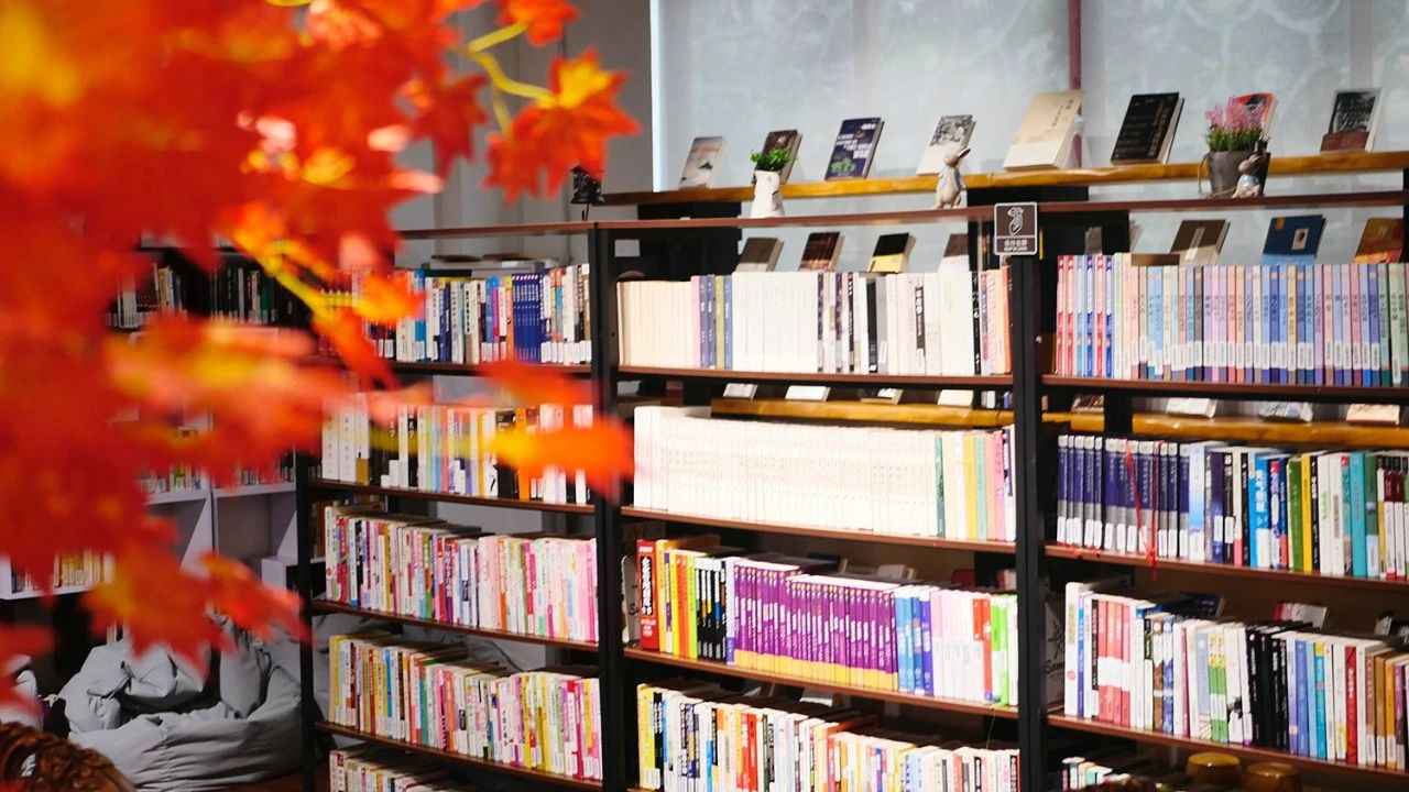 中山：躲藏闹市的公益书屋