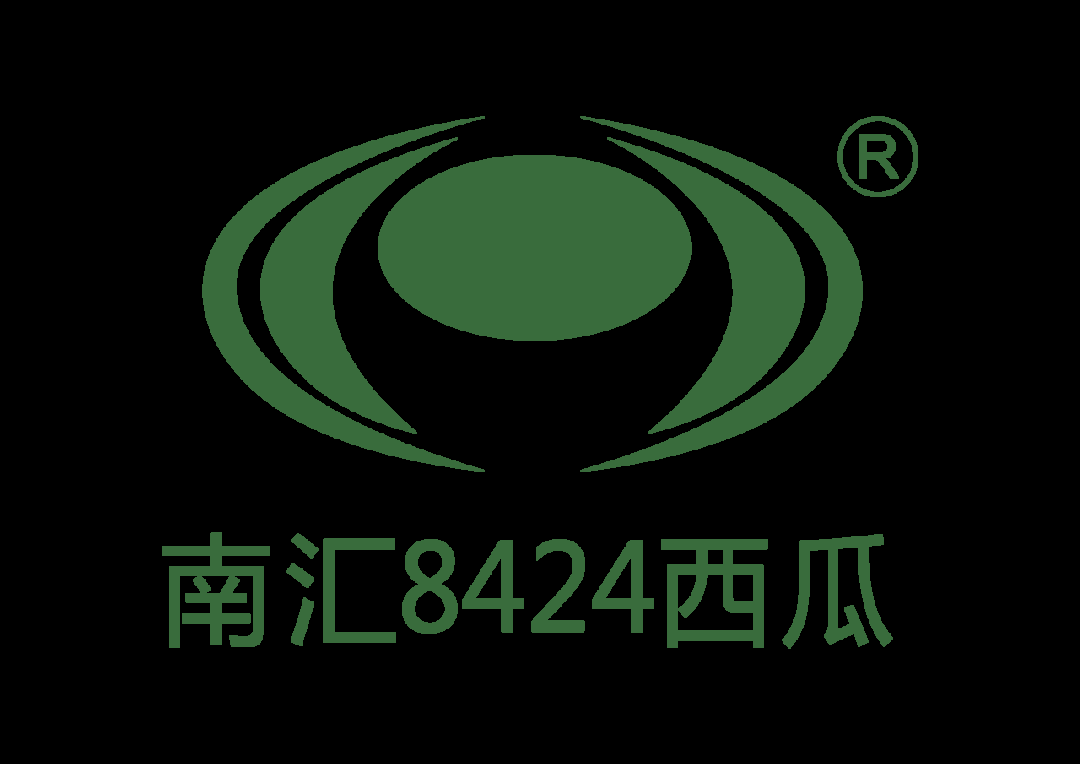上海南汇8424西瓜5月1日上市 一只装70元