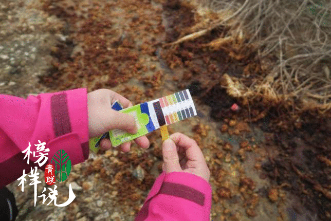 「青联模范说」第45期 丁洁：投身公益的“江河卫士”