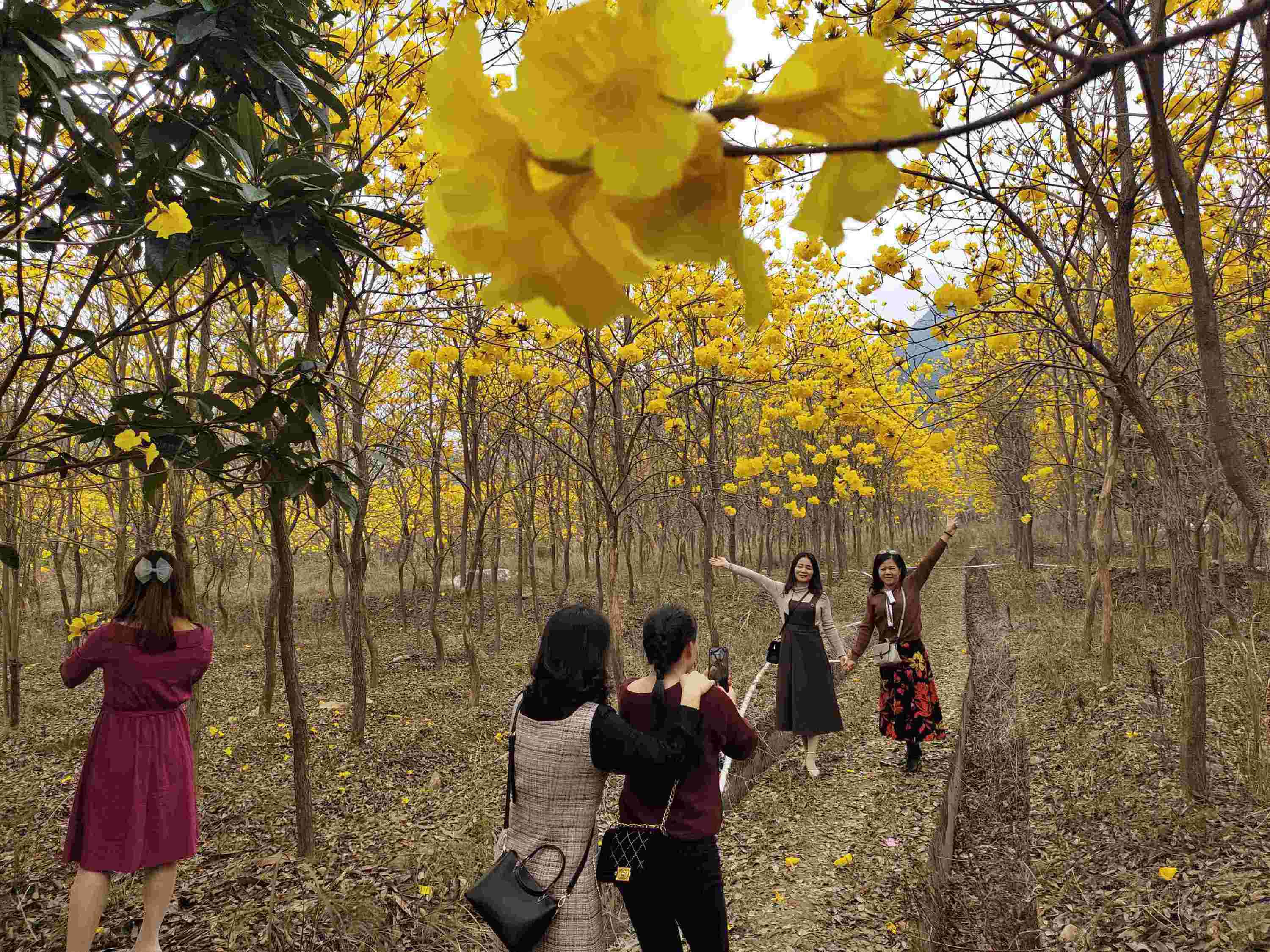 【村子振兴】河源高莞镇:以文化振兴促进村子振兴