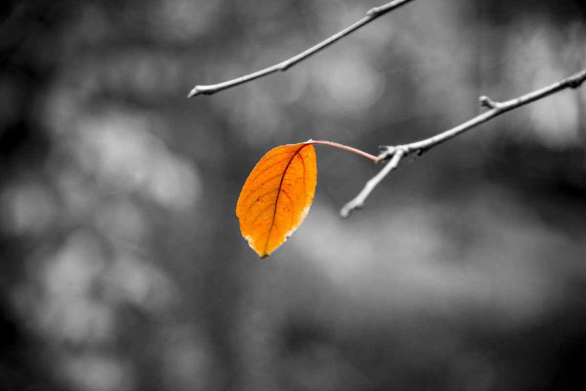 上海12月1日正式入冬 数据理会四季变革