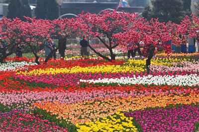 春节假期余额还剩五天 北京这些景点已约满