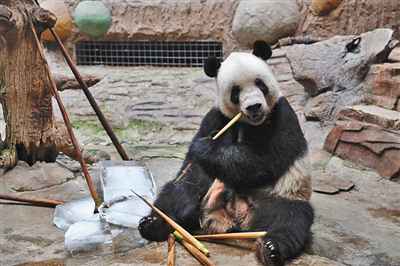 春节假期余额还剩五天 北京这些景点已约满