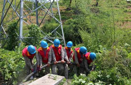 浙江三门电力开展企镇联建 敦促电网建树协同成长
